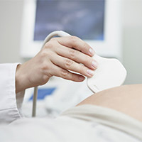 УЗИ 17-19 недель беременности